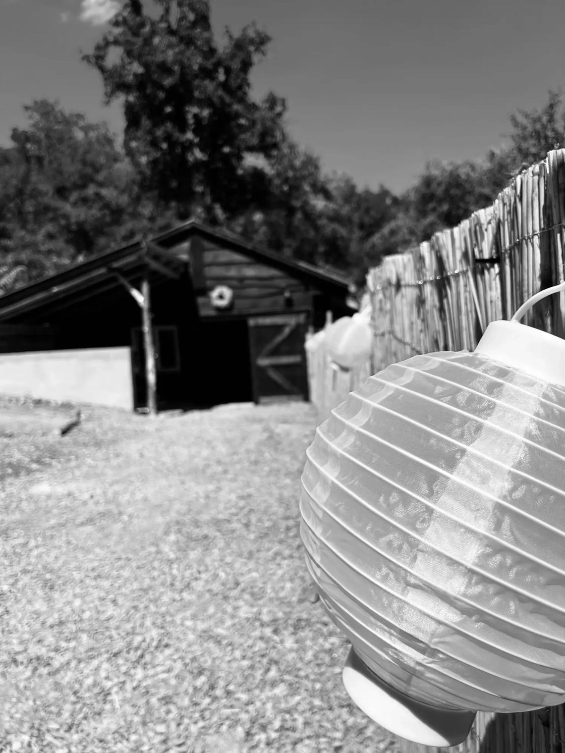 Timi & Marci - Kép 2