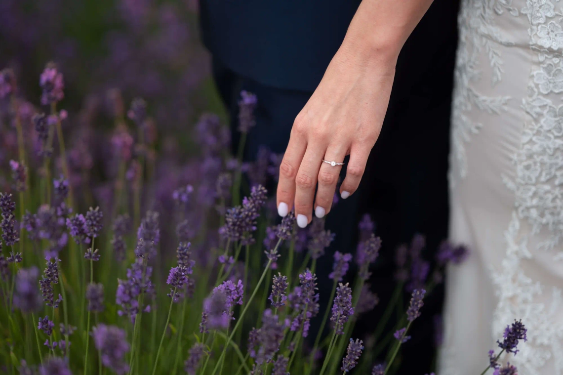 Cinti & Tibi - Kép 15