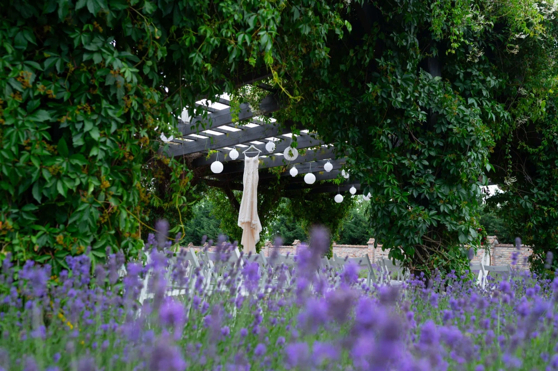 Cinti & Tibi - Kép 9