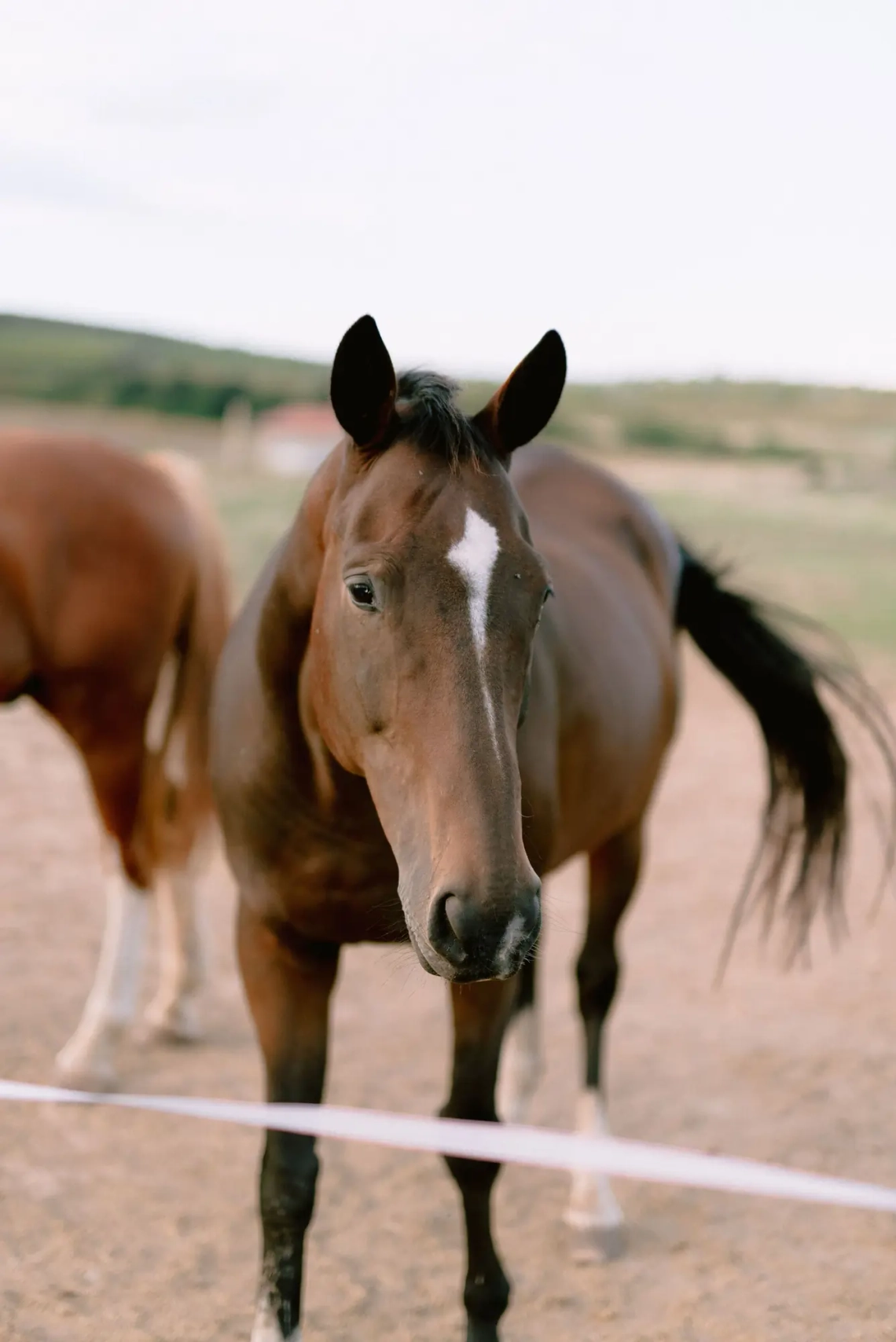 Andi & Marci - Kép 15