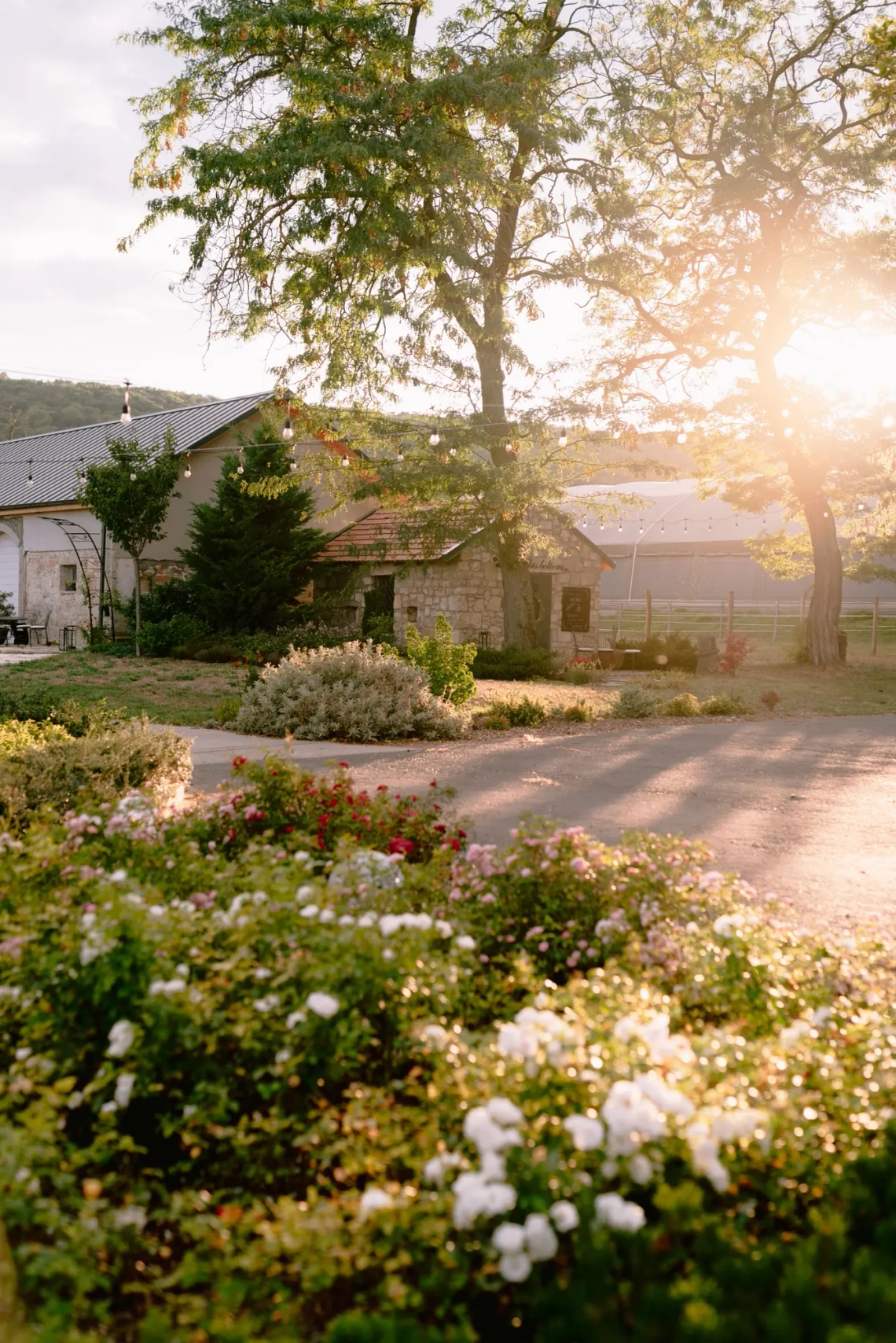 Andi & Marci - Kép 2