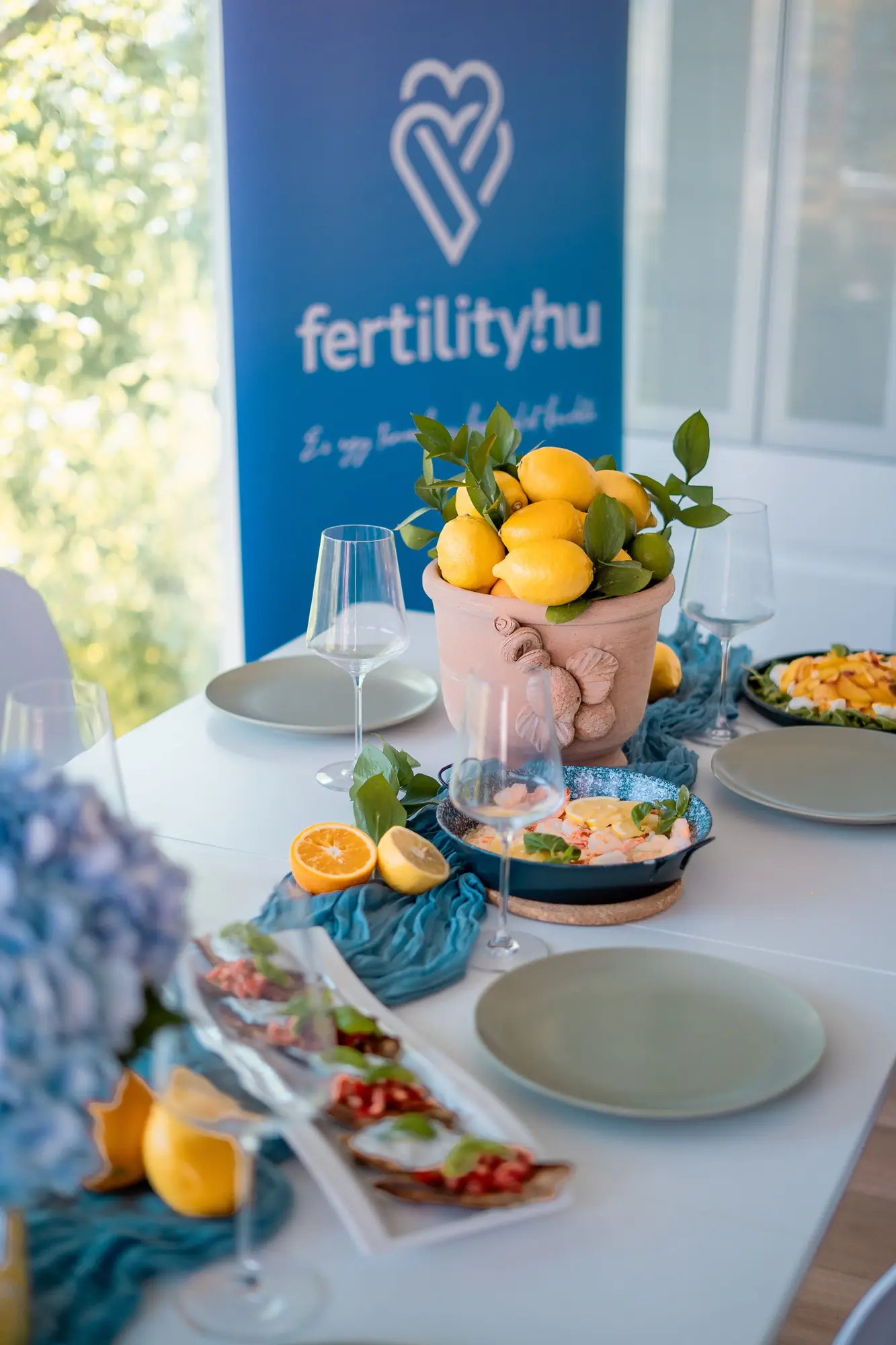 Fertility.hu Csapatepítő